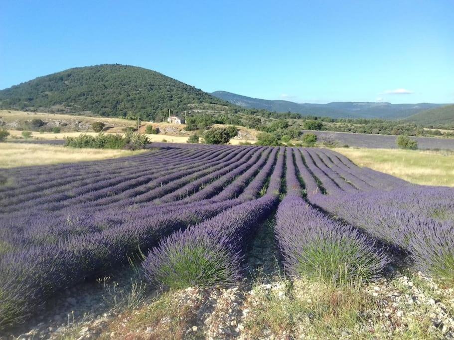 Gite Les Granges Dans Ferme Provencale. 14 Pers Ongles Exterior photo